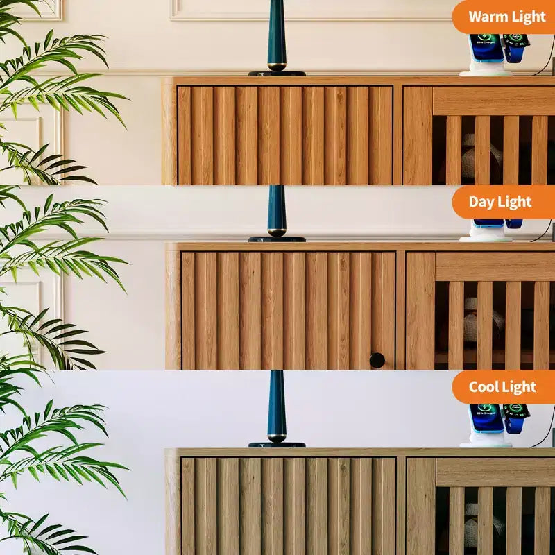 Meuble TV avec rangement