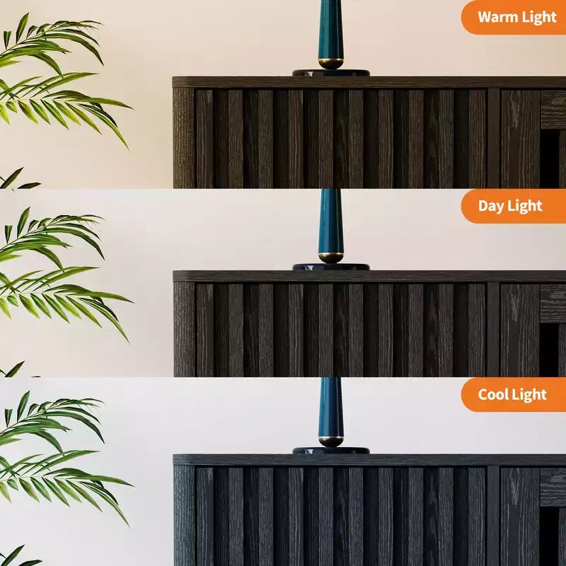 Meuble TV avec rangement